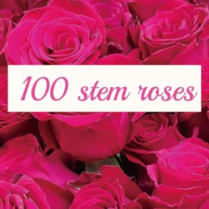 100 stem roses