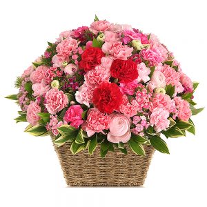 basket flower in Seoul