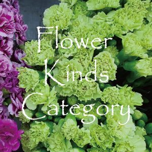 Flower kinds