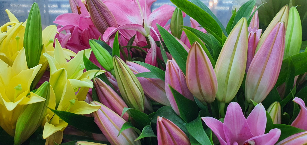 flowers to gangnam korea