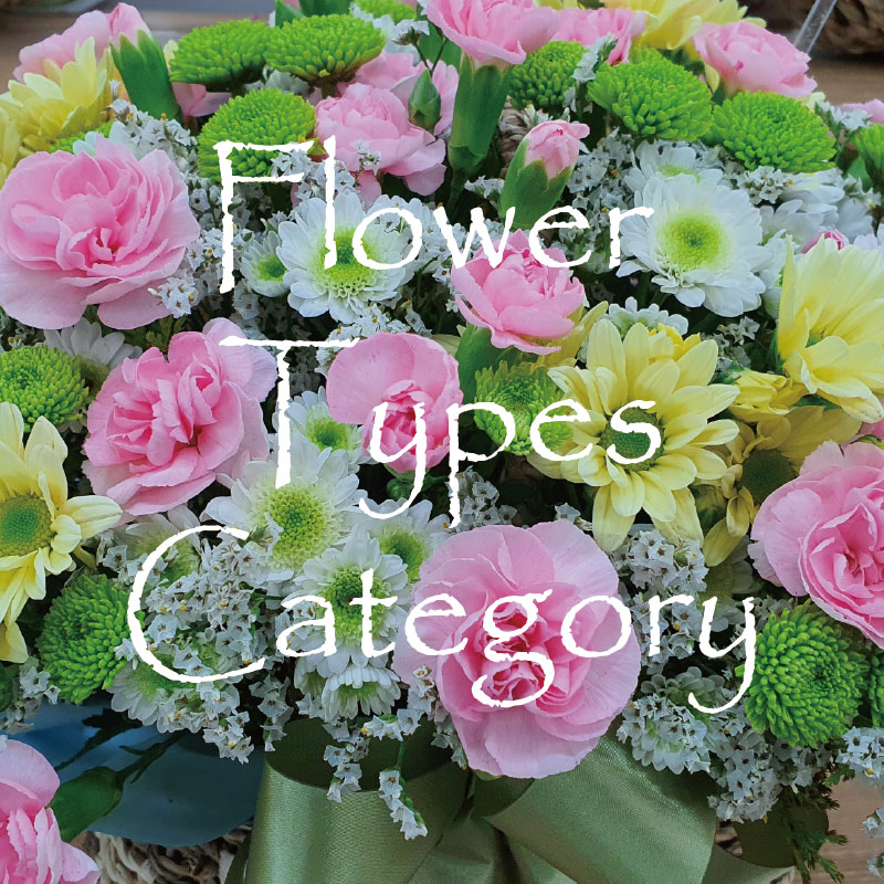 Flower gift to Korea ⋆ Page 4 of 4 ⋆ Send variety flowers gift to Korea