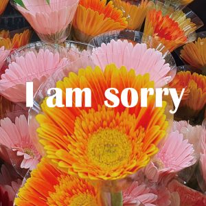 sorry flower Korea