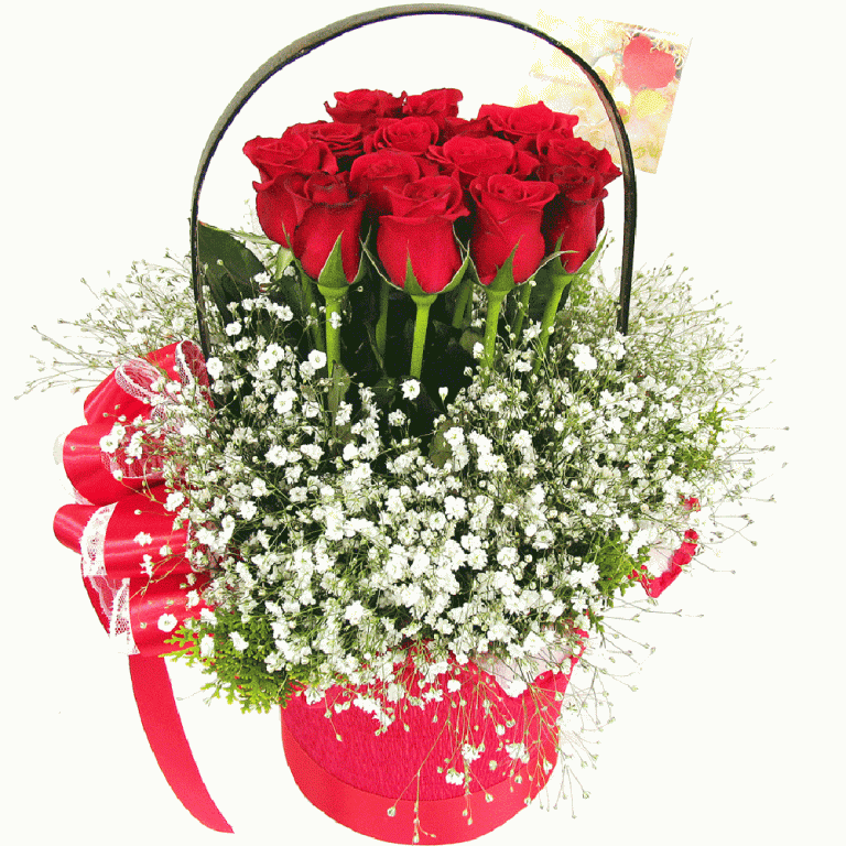 Congratulation flower to Korea ⋆ Page 2 of 3 ⋆ Send Congratulation