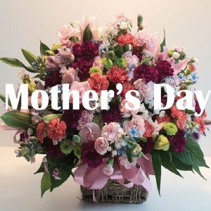 Mother's day flower Korea
