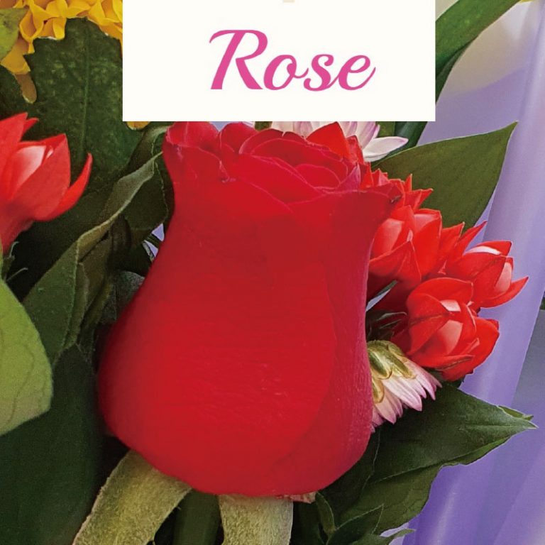 Korea Flower Delivery ⋆ 한국 꽃선물⋆ Send flowers to Korea, Seoul Flower