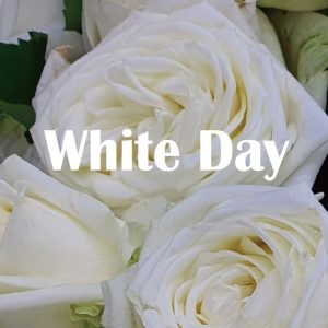 White day flower Korea